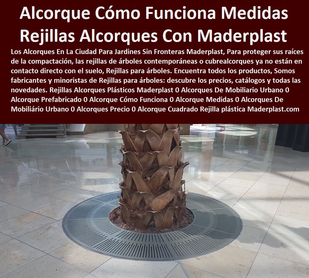 Rejillas Alcorques Plásticos Maderplast 0 Alcorques De Mobiliario Urbano 0 Alcorque Prefabricado 0 Alcorque Cómo Funciona 0 Alcorque Medidas 0 Alcorques De Mobiliario Urbano 0 Alcorques Precio 0 Alcorque Cuadrado Rejilla Metálica plástica  Rejillas Alcorques Plásticos Maderplast 0  Mobiliario Para Parques Autocad 0 Sillas Prefabricadas En Concreto 0 Mobiliario Urbano Ejemplos 0 Mobiliario Urbano De Concreto México 0 Mobiliario Urbano Para Parques 0 Mobiliario En Concreto Bogotá 0 Mobiliario De Parque Dwg 0 Mobiliario Urbano Para Parques 0 Mobiliario Urbano Automatizado 0 Mobiliario Urbano Pérgolas 0 Mobiliario Urbano Para Parques Dwg 0 Alcorques De Mobiliario Urbano 0 Alcorque Prefabricado 0 Alcorque Cómo Funciona 0 Alcorque Medidas 0 Alcorques De Mobiliario Urbano 0 Alcorques Precio 0 Alcorque Cuadrado Rejilla Metálica plástica 